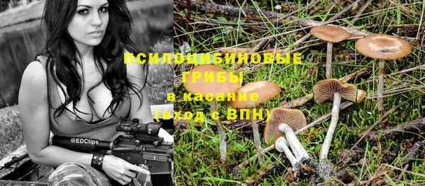 каннабис Алексин
