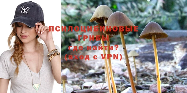 метадон Алзамай