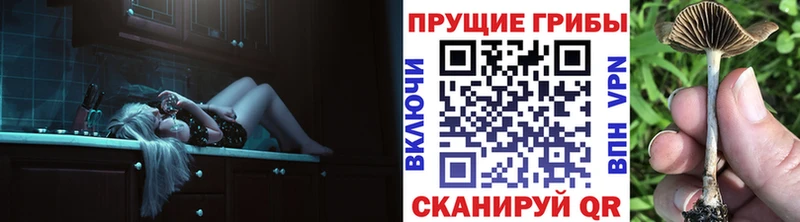 Псилоцибиновые грибы Cubensis  darknet официальный сайт  Змеиногорск 